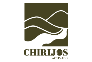 LOGO WEB-02